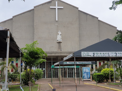 Mary Mediatrix Of All Graces Cathédral