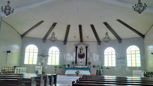 Our Lady of Mt. Carmel Parish Church - XI, Roxas City, Capiz (Archdiocese of Capiz)