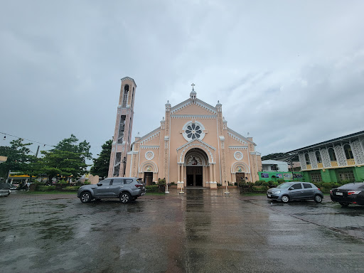 Immaculate Conception Parish - Batac Church