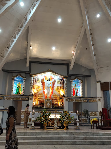 Sts. Peter and Paul Parish Church - Aplaya, Calamba City, Laguna (Diocese of San Pablo)